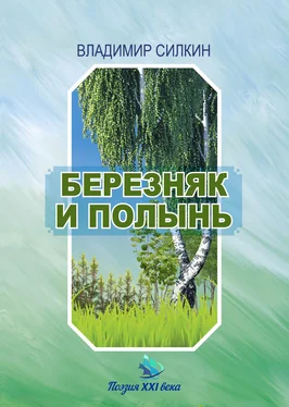 Владимир Силкин Березняк и полынь обложка книги