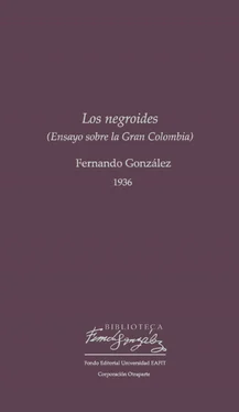Fernando González Los negroides обложка книги