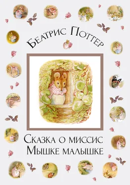 Беатрис Поттер Сказка о миссис Мышке-малышке обложка книги