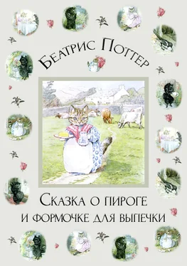 Беатрис Поттер Сказка о пироге и формочке для выпечки обложка книги