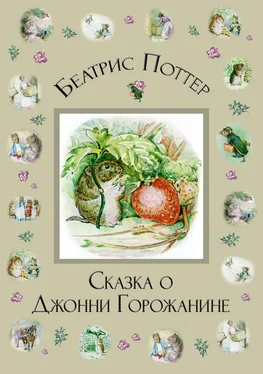 Беатрис Поттер Сказка о Джонни Горожанине обложка книги