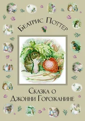 Беатрис Поттер - Сказка о Джонни Горожанине