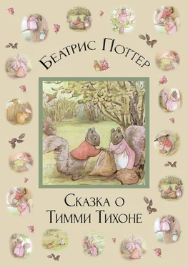 Беатрис Поттер Сказка о Тимми Тихоне обложка книги