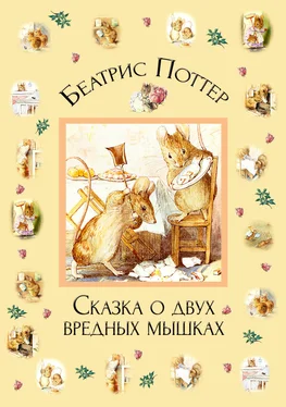 Беатрис Поттер Сказка о двух вредных мышках обложка книги
