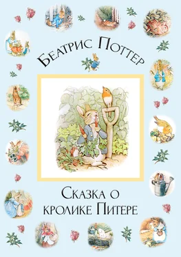 Беатрис Поттер Сказка о кролике Питере обложка книги