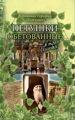 иеромонах Серафим (Катышев) - Петушки обетованные. В трех книгах