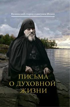 схиигумен Иоанн (Алексеев) Письма о духовной жизни обложка книги