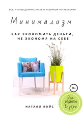 Натали Войс - Минимализм. Как экономить деньги, не экономя на себе