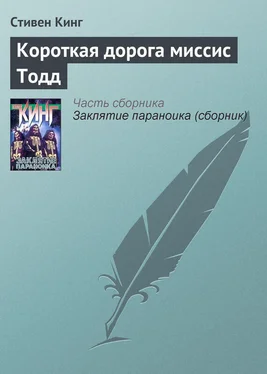 Стивен Кинг Короткая дорога миссис Тодд обложка книги
