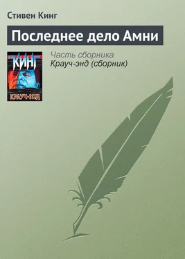 Стивен Кинг Последнее дело Амни обложка книги