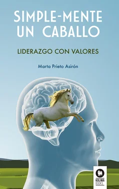 Marta Prieto Asirón Simple-Mente un caballo обложка книги