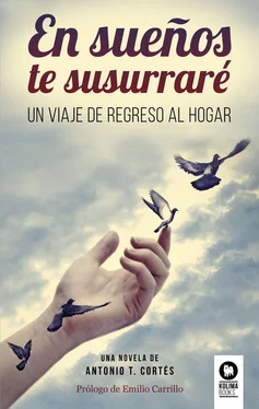 Antonio Cortés Rodríguez En sueños te susurraré обложка книги