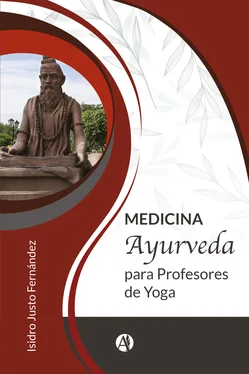 Isidro Justo Fernández Medicina ayurveda para profesores de yoga обложка книги