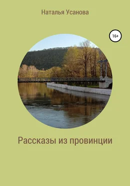 Наталья Усанова Рассказы из провинции обложка книги