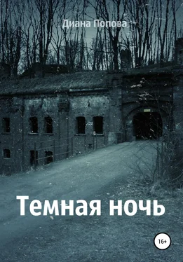 Диана Попова Тёмная ночь обложка книги
