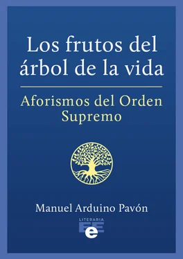 Manuel Arduino Pavón Los frutos del árbol de la vida обложка книги