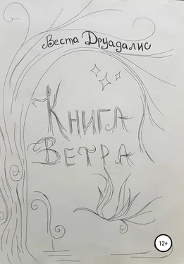 Веста Друадалис Книга Ветра обложка книги