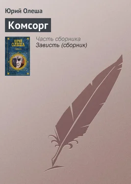 Юрий Олеша Комсорг обложка книги