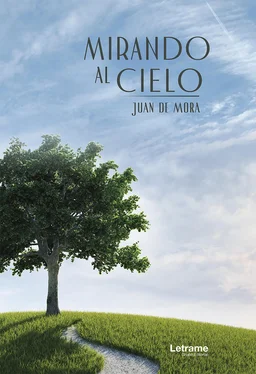 Juan de Mora Mirando al cielo обложка книги