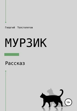 Георгий Толстопятов Мурзик обложка книги