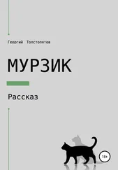 Георгий Толстопятов - Мурзик