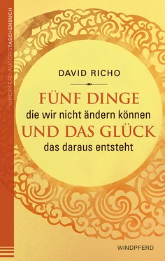 David Richo Fünf Dinge, die wir nicht ändern können und das Glück, das daraus entsteht обложка книги