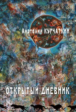 Анатолий Курчаткин Открытый дневник обложка книги