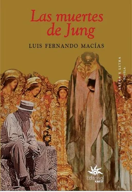Luis Fernando Macías Las muertes de Jung обложка книги