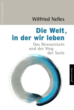 Wilfried Nelles Die Welt, in der wir leben обложка книги