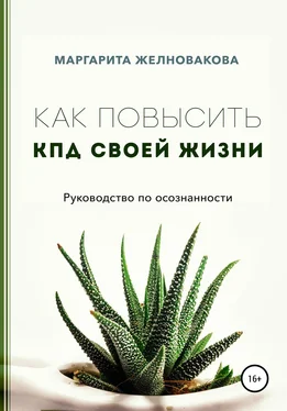Маргарита Желновакова Как повысить КПД своей жизни обложка книги