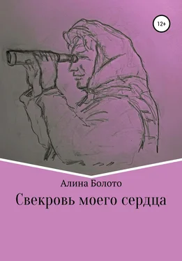 Алина Болото Свекровь моего сердца обложка книги