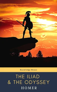 Knowledge house The Iliad & The Odyssey обложка книги