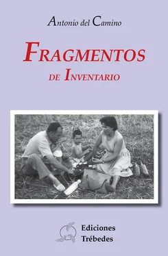 Antonio del Camino Fragmentos de inventario обложка книги