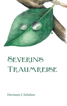 Hermann J. Schuhen Severins Traumreise обложка книги