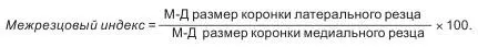 Индекс премоляров вычисляют для нижнего зубного ряда он показывает отношение - фото 12