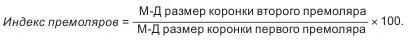 Как правило у постоянных зубов человека индекс премоляров больше 100 что - фото 13