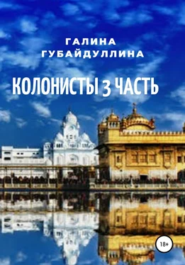 Галина Губайдуллина Колонисты. Часть 3 обложка книги