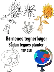 Tina Sun - Børnenes tegnerbøger - Sådan tegnes planter