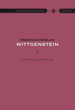 Federico Penelas Wittgenstein обложка книги