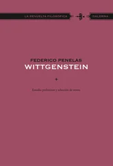 Federico Penelas - Wittgenstein