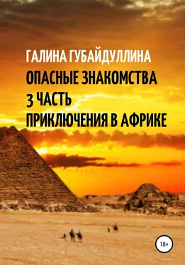 Галина Губайдуллина Опасные знакомства. 3 Часть. Приключения в Африке обложка книги