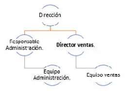 En este caso el director de ventas contaba con menos aptitudes para el puesto - фото 6