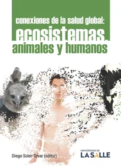 Diana Benavides Arias - Conexiones de la salud global