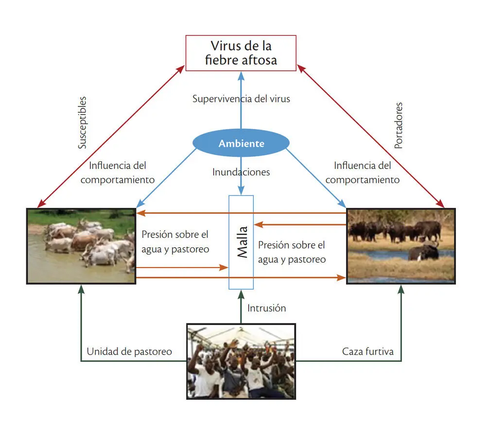 Fuente elaboración propia Estrategias de prevención y control de la fiebre - фото 6