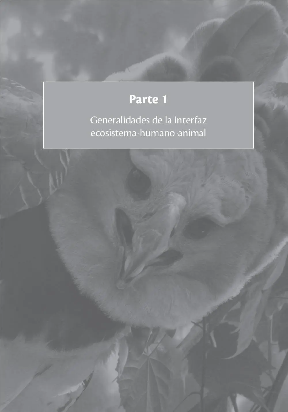 Articulación de las agrociencias con las interfaces ecosistemahumanoanimal - фото 2