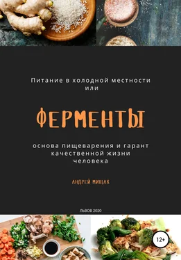 Андрей Мищак Ферменты как основа пищеварения и гарант качественной жизни человека. Питание в холодной местности обложка книги