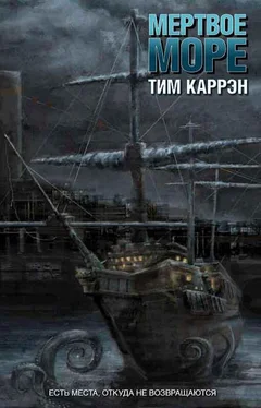 Тим Каррэн Мертвое море обложка книги