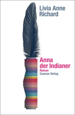 Livia Anne Richard Anna der Indianer обложка книги