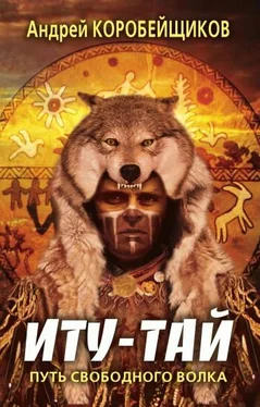 Андрей Коробейщиков Иту-тай. Путь свободного волка обложка книги
