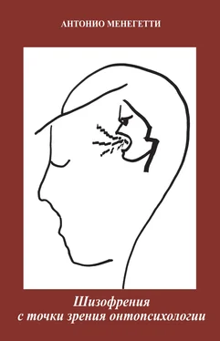 Антонио Менегетти Шизофрения с точки зрения онтопсихологии обложка книги